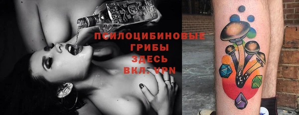 крисы Вязники