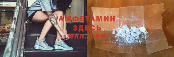 прущие грибы Сосновоборск