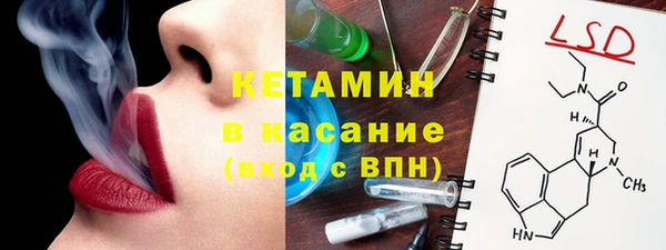 прущие грибы Сосновоборск