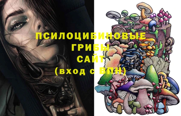 крисы Вязники