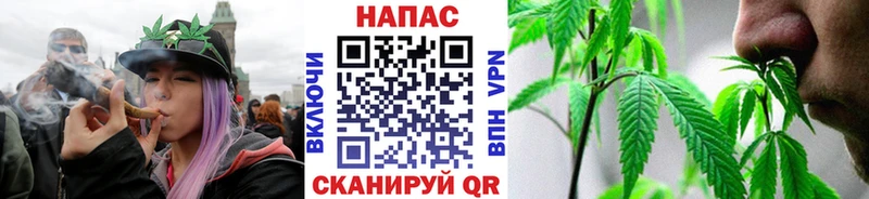 Марихуана планчик Отрадный